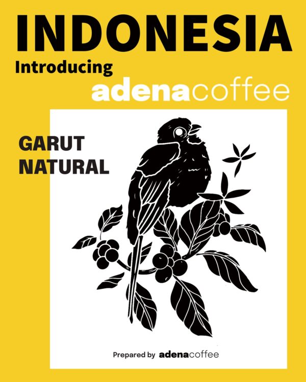 印尼蘇門答臘亞齊省迦佑區瑟雷寧批次