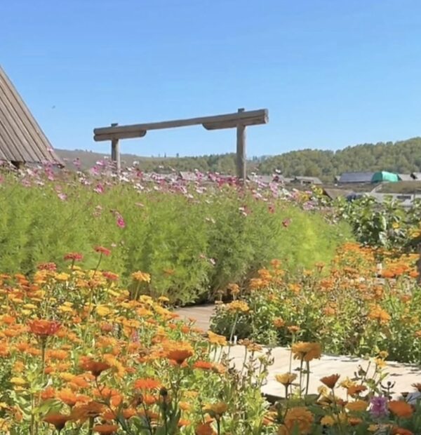 哥倫比亞百花豔莊園(希爪)