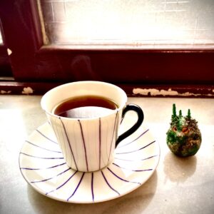 哥倫比亞迪維索莊園(Ombligon)