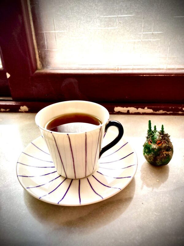 哥倫比亞迪維索莊園(Ombligon)