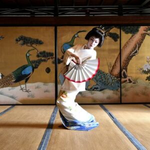 哥倫比亞迪維索莊園(藝伎)