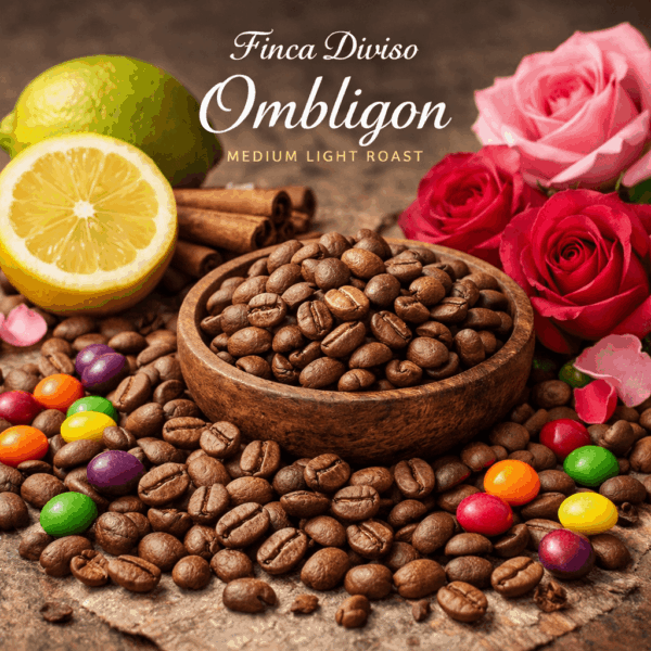 哥倫比亞迪維索莊園(Ombligon)